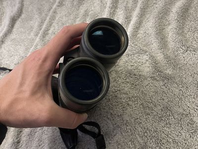 Vortex diamond back binoculars 10-42