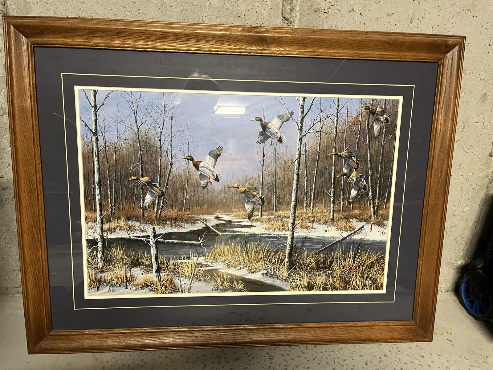 Framed Mallard Ducks Flying over Stream Wildlife Print Artwork