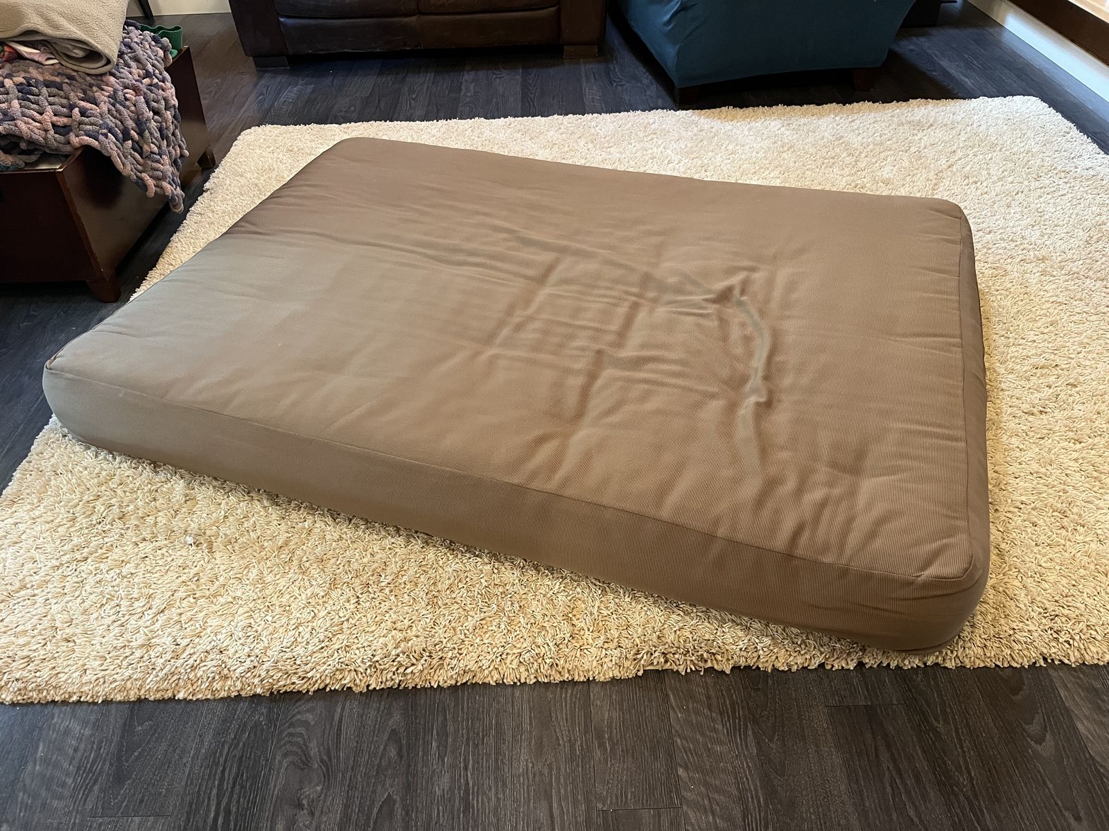 Free futon mattress