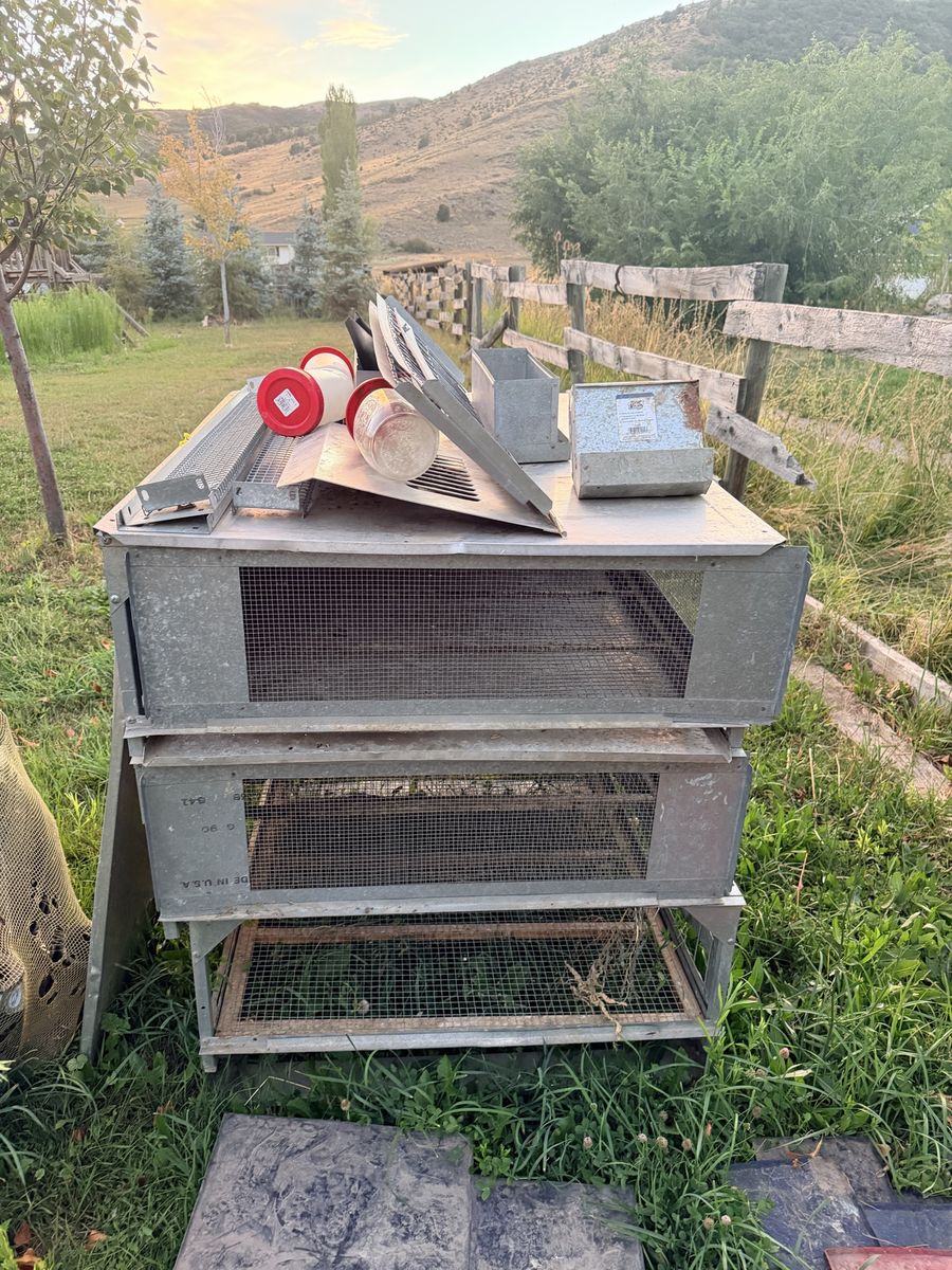 3 tier poultry/game brooder