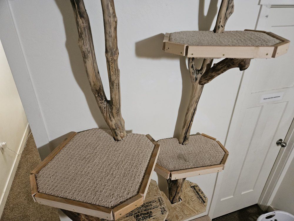 Unique Custom-Made Driftwood Cat Tree with Multiple Platforms & Resting Spots - Great for Multi-Cat Homes