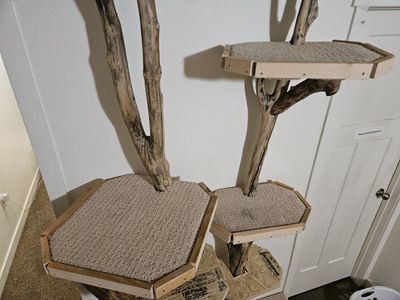 Unique Custom-Made Driftwood Cat Tree with Multiple Platforms & Resting Spots - Great for Multi-Cat Homes