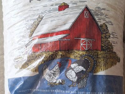 Chicken Grit and Calcium