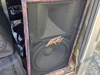 Peavey PV115 15" passive speakers