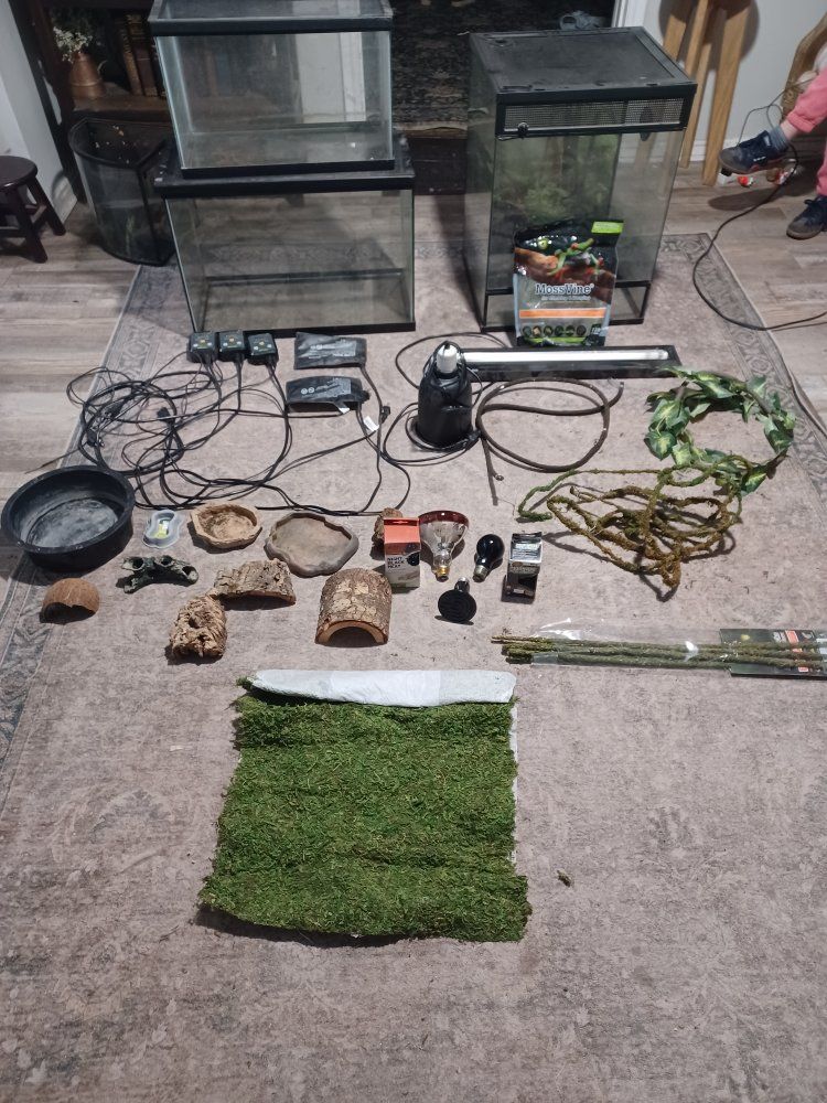 A few terrariums and supplies