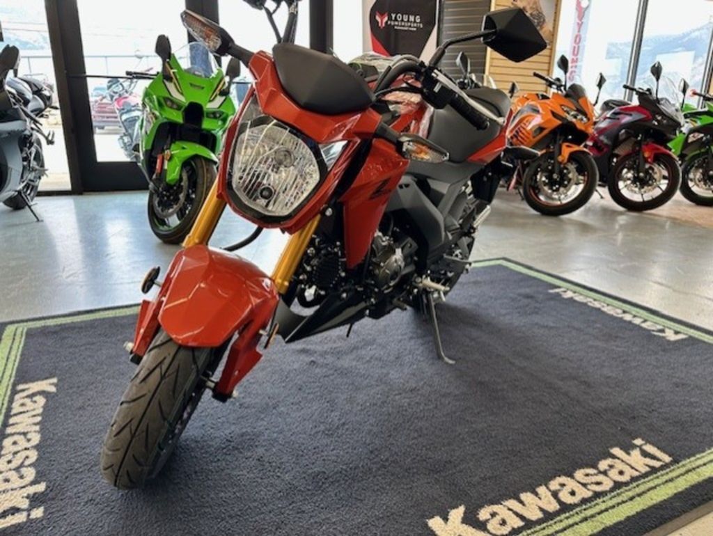 2025 Kawasaki Z125 PRO