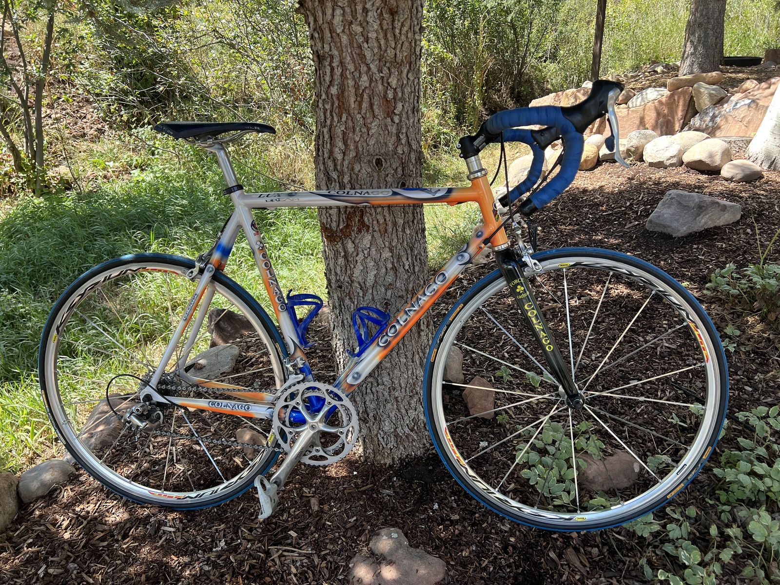 GREAT EARLY-2000s COLNAGO LUX DREAM Road Bike w/Shimano Ultegra 56cm