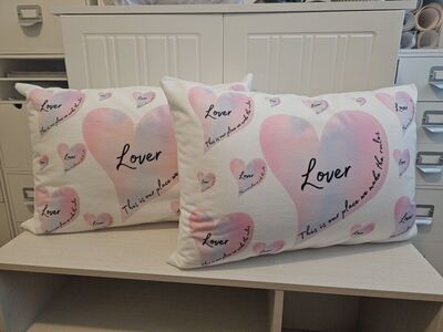 2 Taylor Swift Decorative Pillows