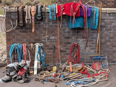 Horse Tack, Tools, etc.