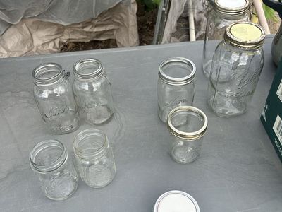 Canning Jars - Ball, Kerr - Various Sizes for Canning & Storage