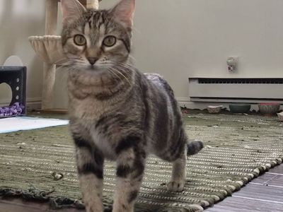 Hello my name is Fern Puddle