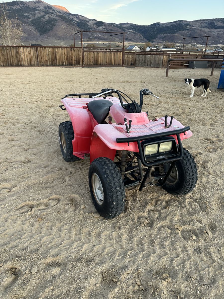 1993 Yamaha Timberwolf