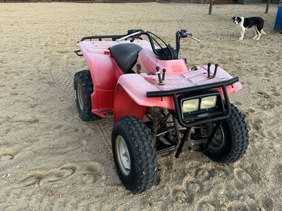 1993 Yamaha Timberwolf