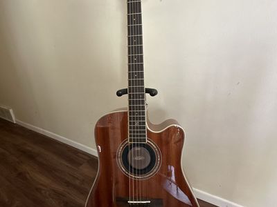 Zager Acoustic/Electric Guitar