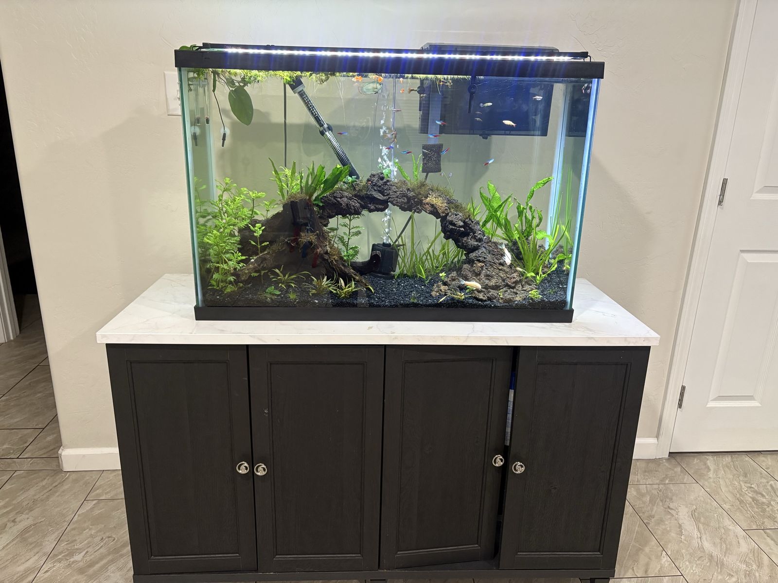 Established Tank, Stand+supplies