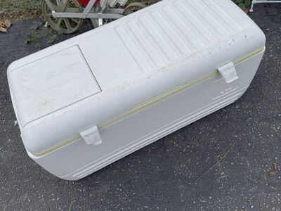 Igloo Cooler ( 150 Qt )