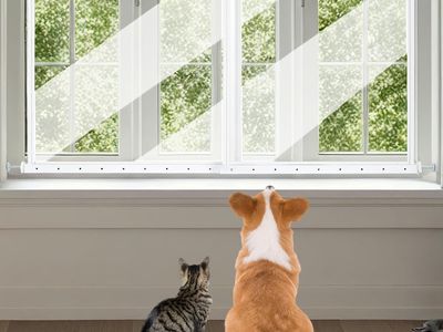 Pet Window Safety Guards, Clear Acrylic Safer Than Bars, Window Guards for Dogs Cats