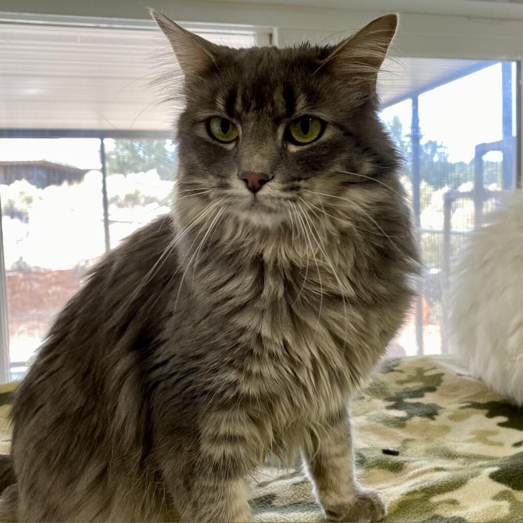 Hello my name is Sunchip