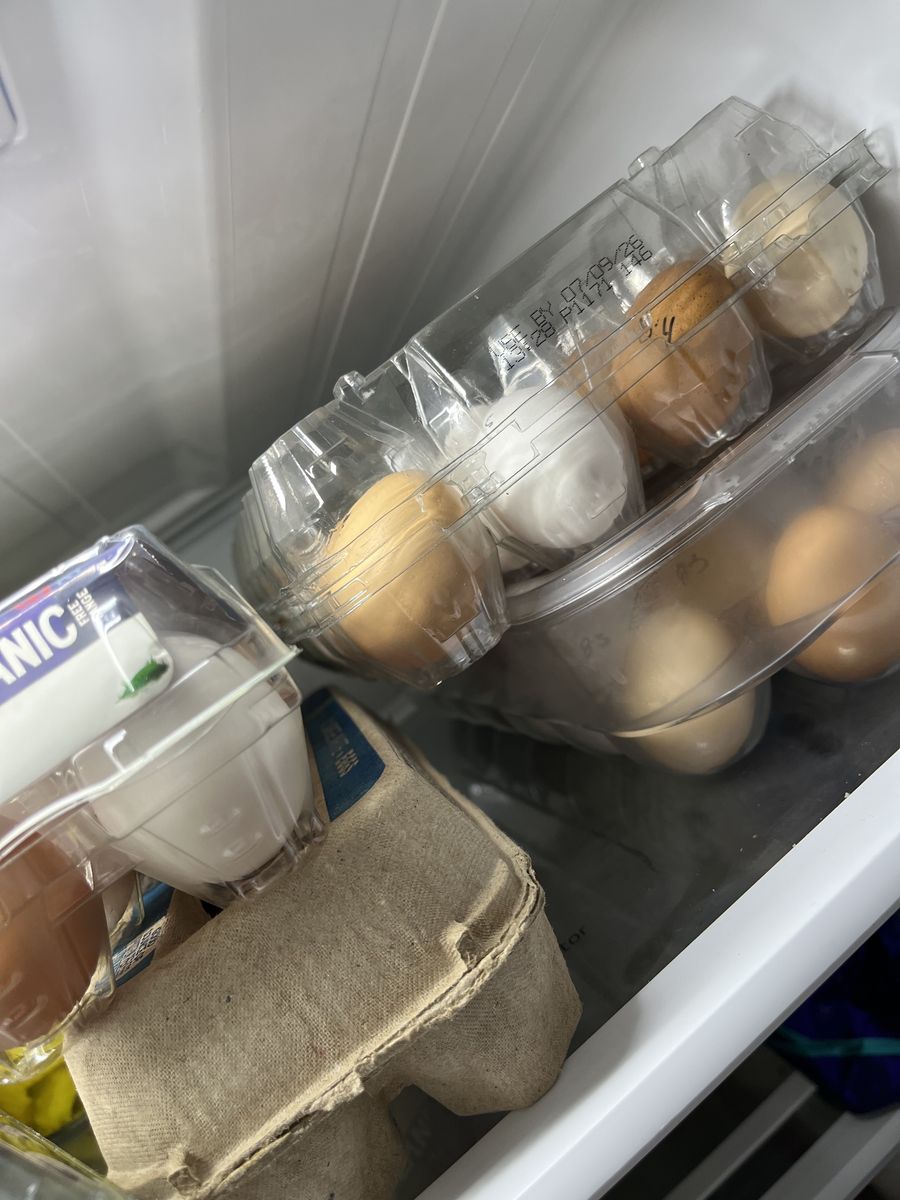 Farm fresh chicken eggs