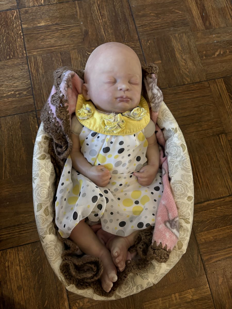 Lifelike Reborn Sleeping Baby Doll with Outfit and Carrier