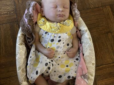 Lifelike Reborn Sleeping Baby Doll with Outfit and Carrier