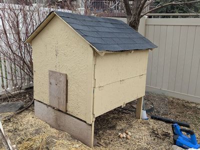 Chicken Coop and Feeders