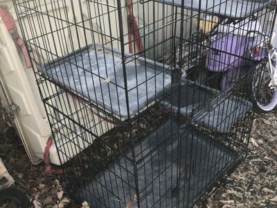 Cat Cage