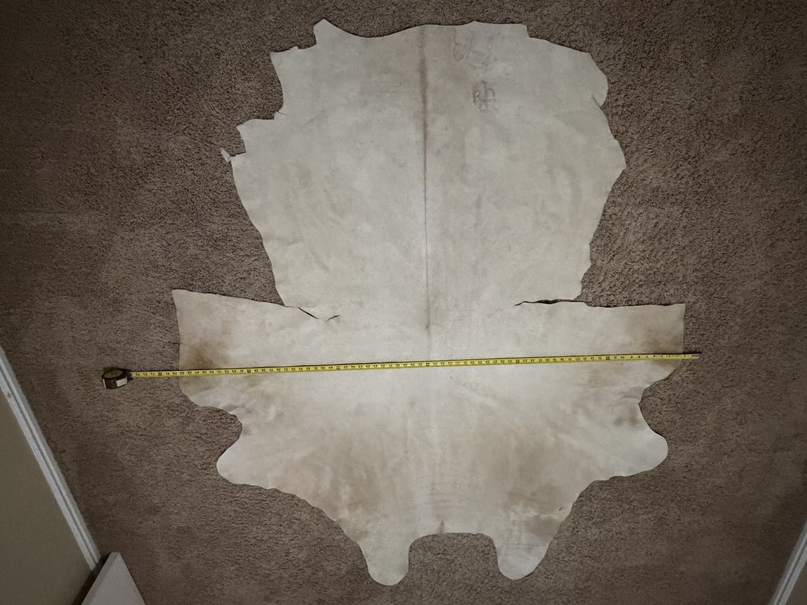 Main image 4