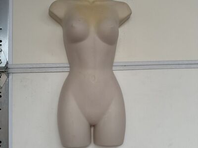 Female Body Form Retail Display Hanging Mannequin