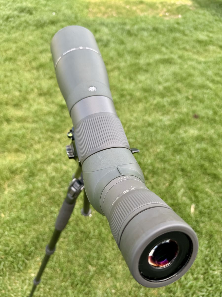 Main image 7