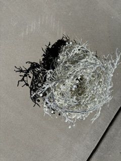 Main image 5