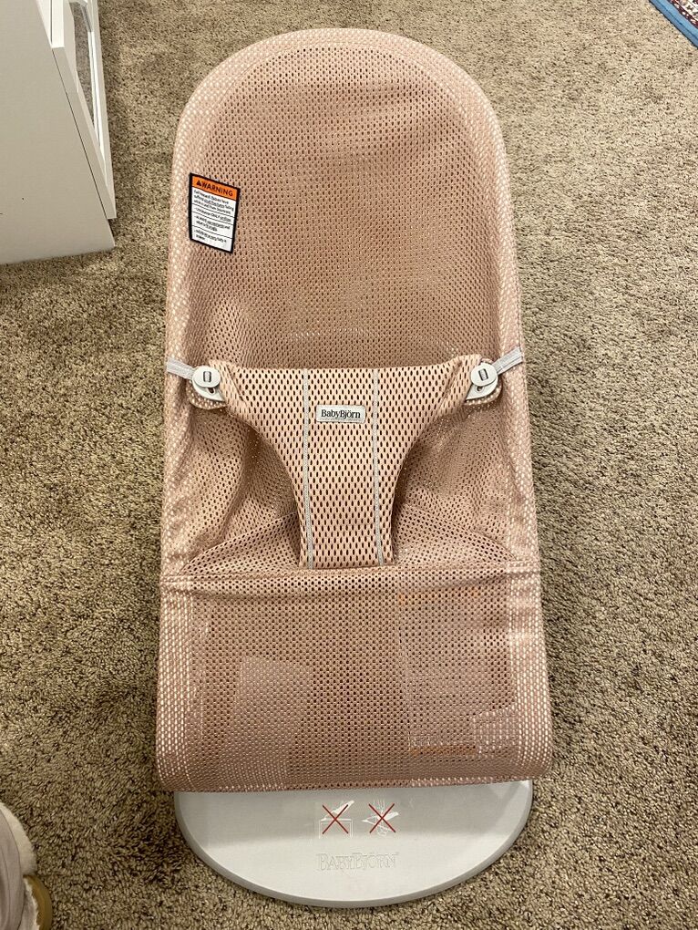 BabyBjorn Baby Bouncer