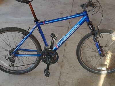 Diamondback Sorrento