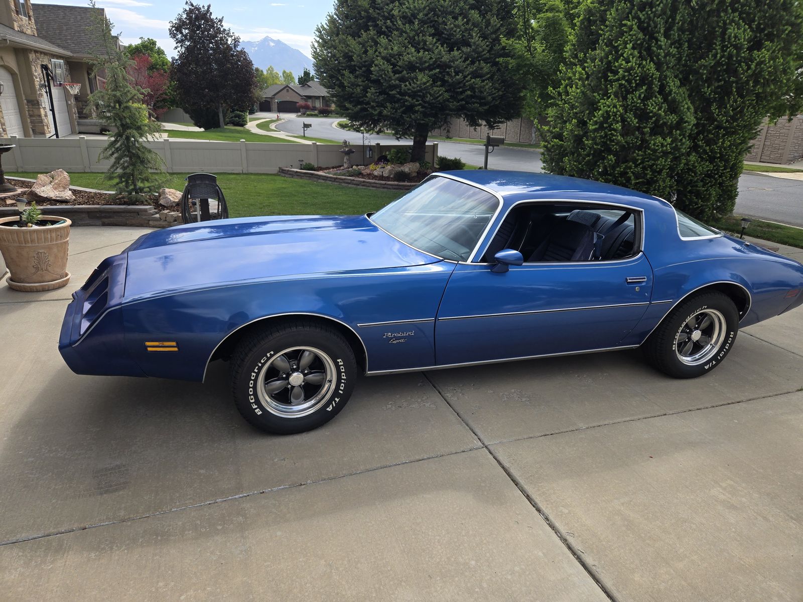 1981 Pontiac Firebird Firebird