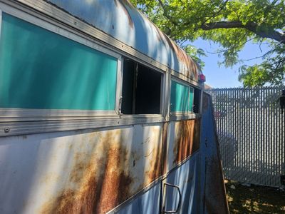 Horse trailers for sale