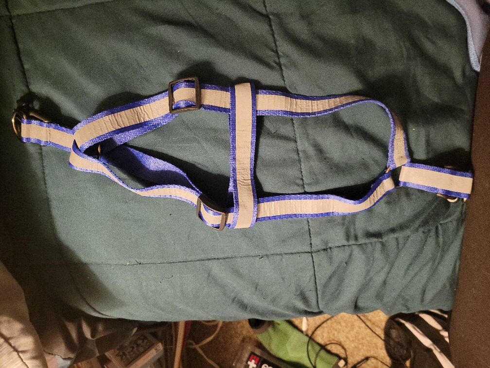 brand new harness for large dogs