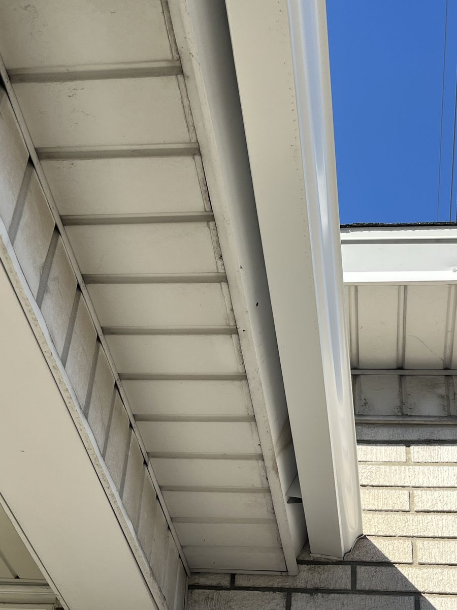 Main image 5