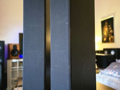 Dual 6.5" Polk Audio RT12 Floorstanding Tower Speakers