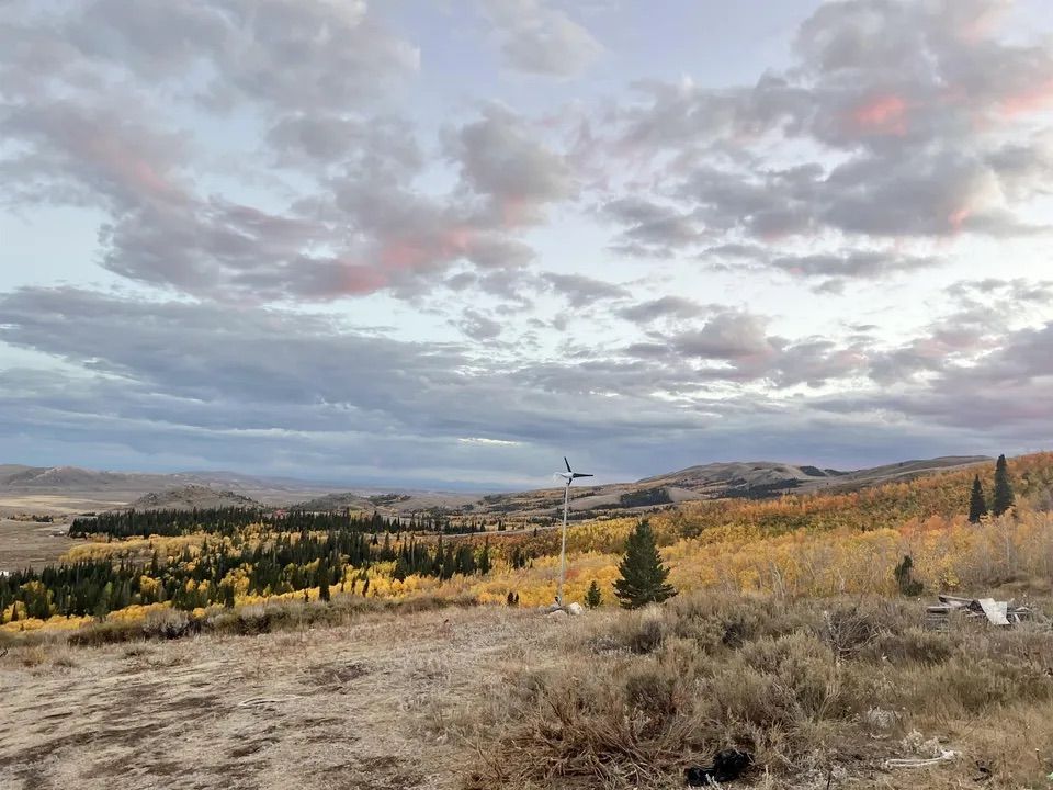 Main image 19