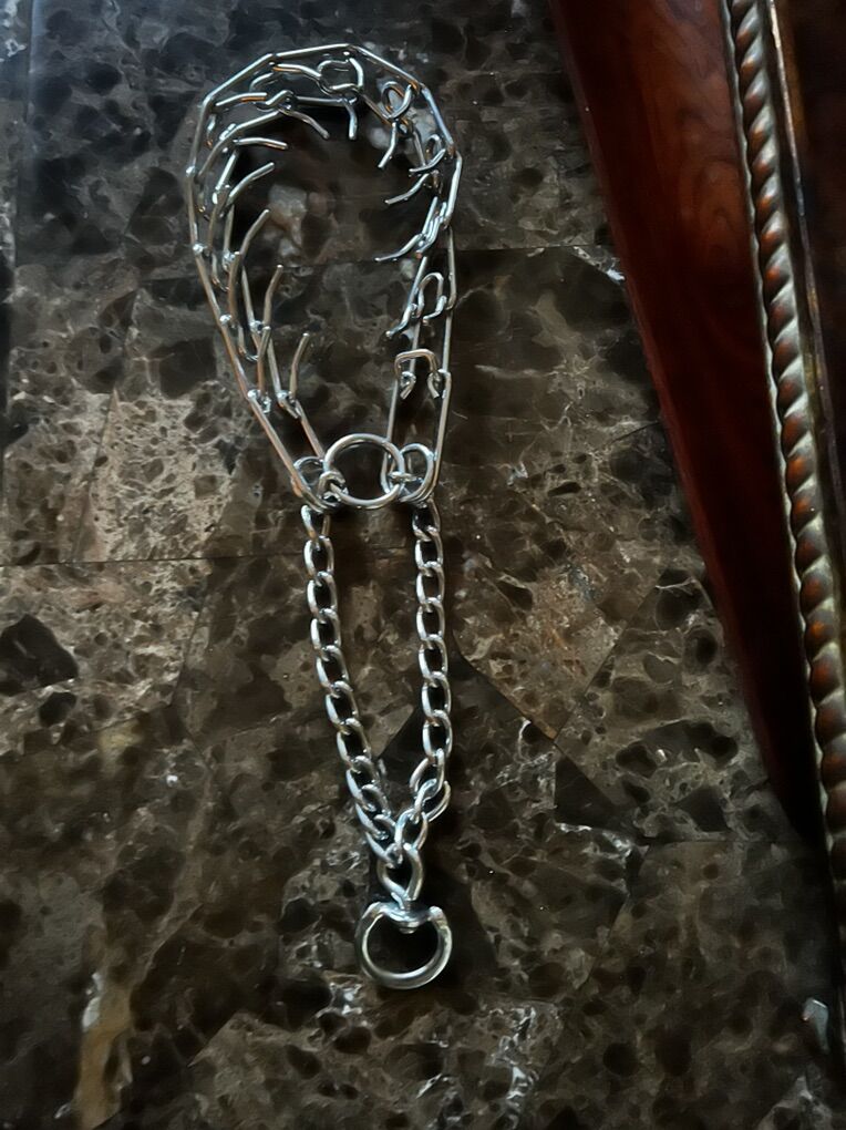 Large Dog Choke Collar