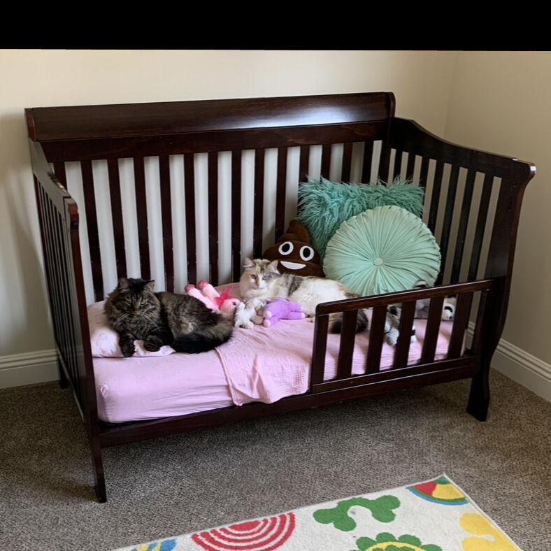 Delta 5 In 1 Crib AND Toddler Bed WITH Mattress