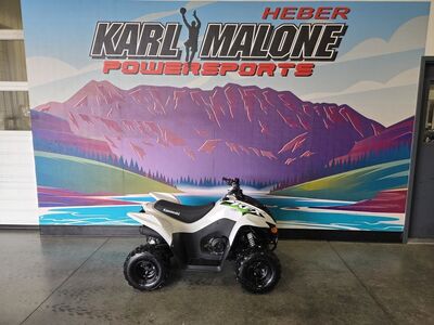 2026 Kawasaki KFX®50