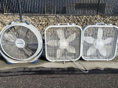 Fans $20