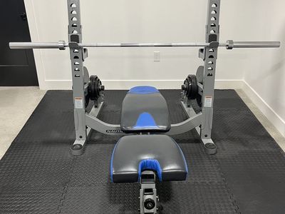 Nautilus Foldable Bench and Squat Rack-Weights Included