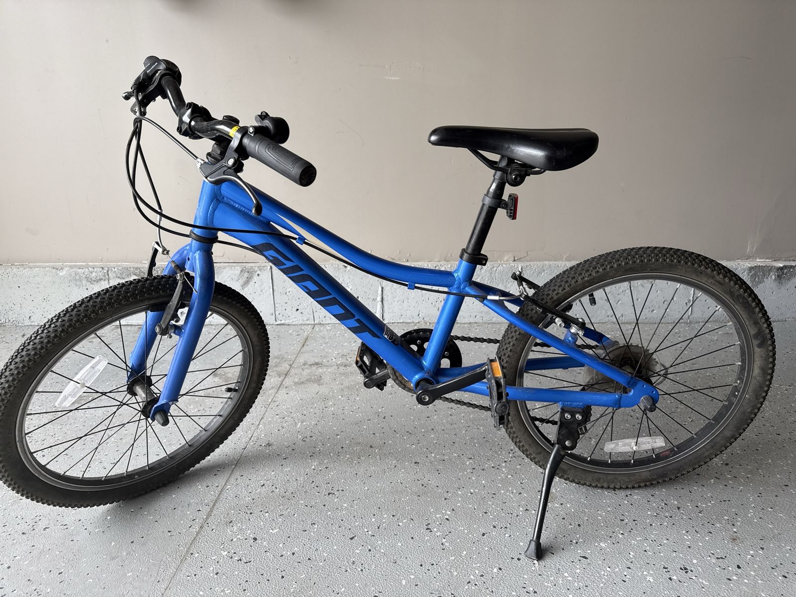 Giant 20-inch Kids Bike