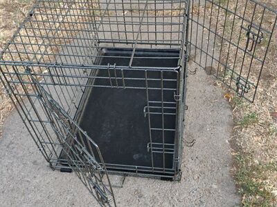 Petco Double Door Training Kennel, Crate, Medium