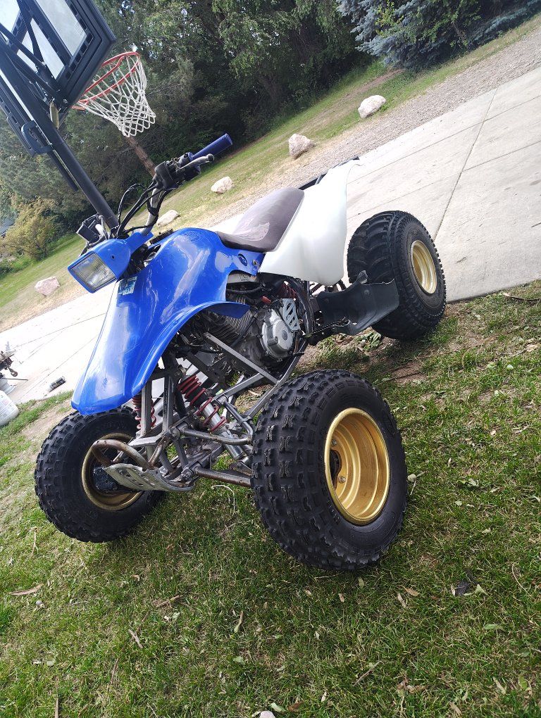 Honda TRX250x