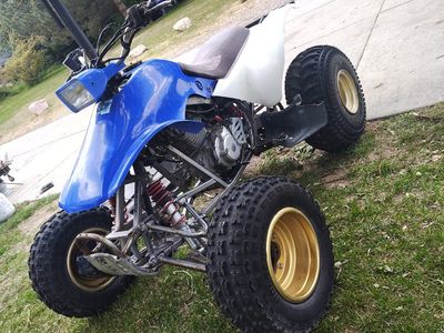Honda TRX250x