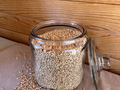 Organically Grown Hard White Wheat