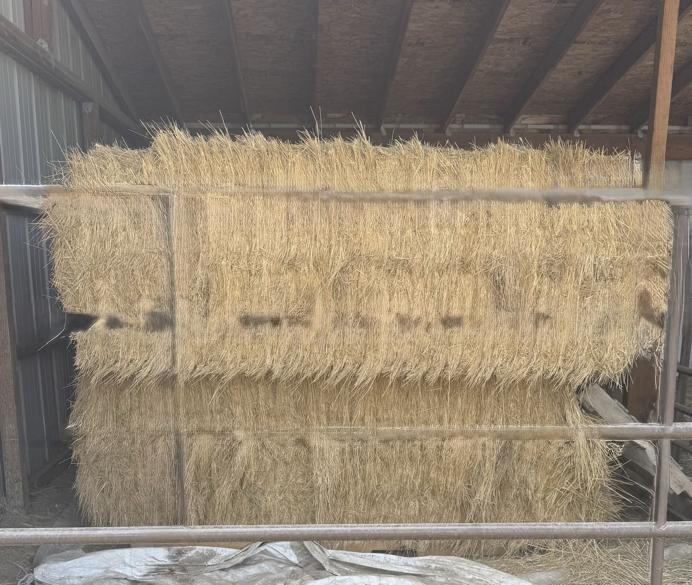 Grass Hay - 7 Bales, 3x4x8 ft - Sun-Bleached, Last Season's - Ogden Area